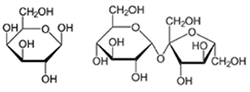 Galactose_Sucrose_Structure_Graphic